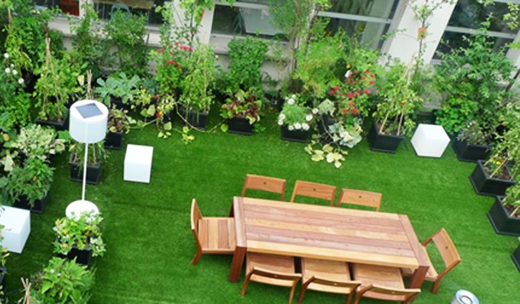 Howrah Buildings To Enhance Greenery ?